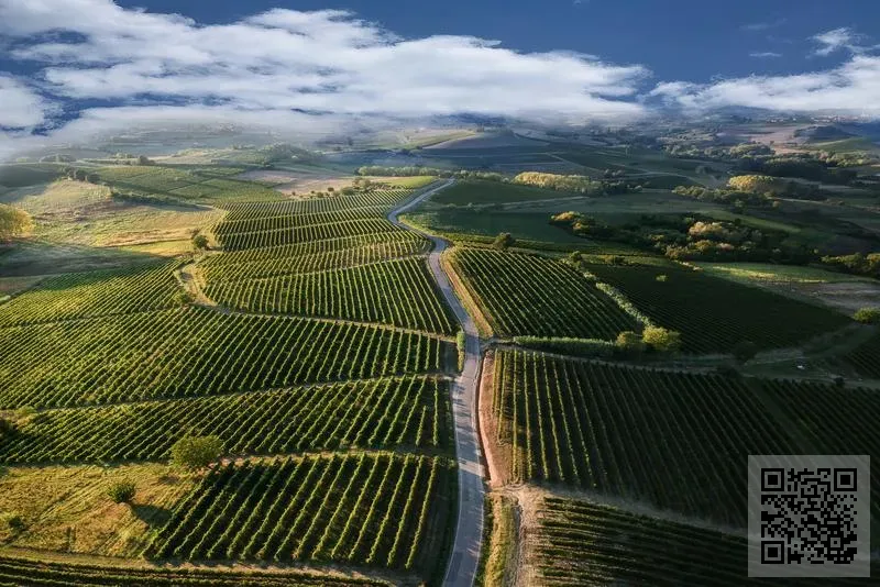 奧級醫療科技有限公司