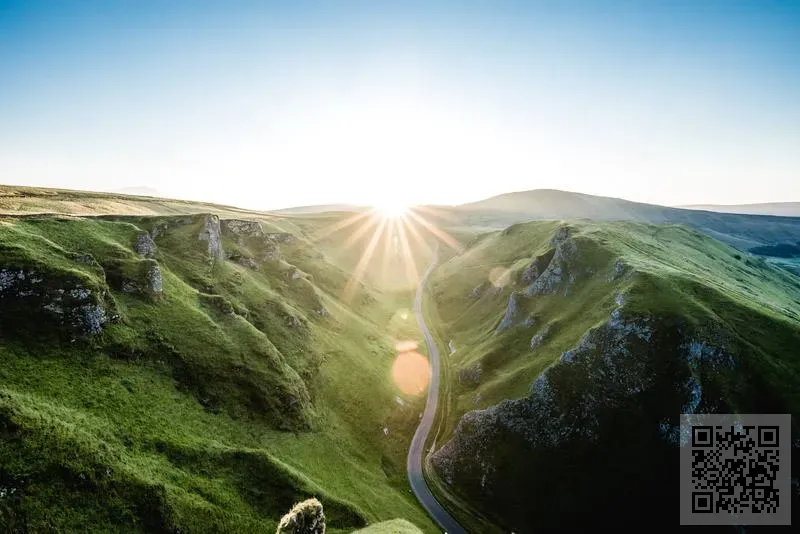 香港有鳳來儀國際貿易有限公司