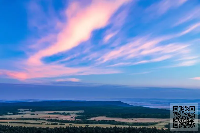 Guangzhou Hanyang Electronics Co., Limited