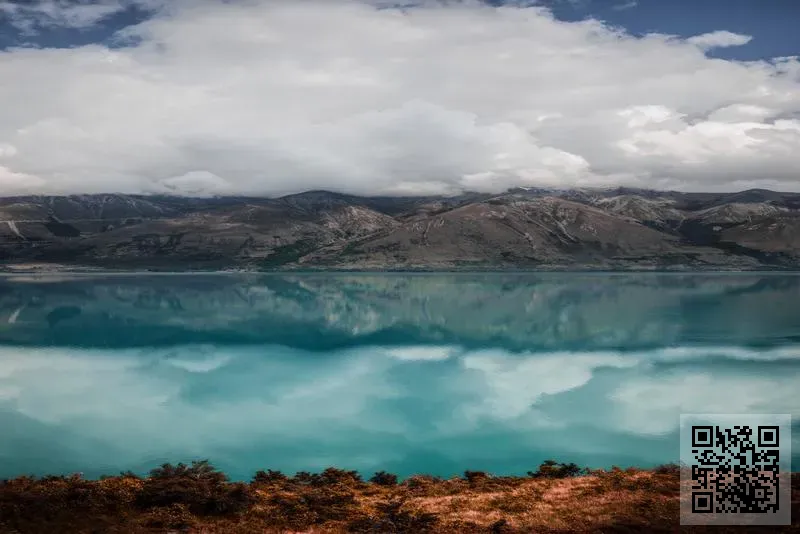 SUNYU HOLDINGS LIMITED