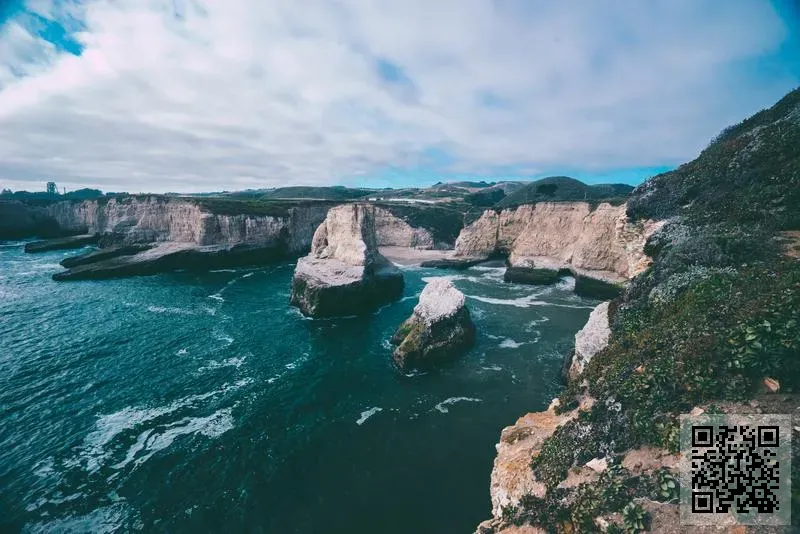 泰德實業(中國)投資管理有限公司
