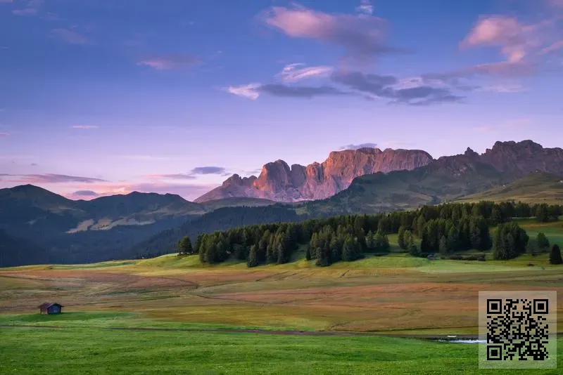 香港元龍國際物流有限公司