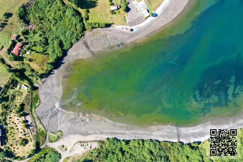 諾惟國際貿易有限公司