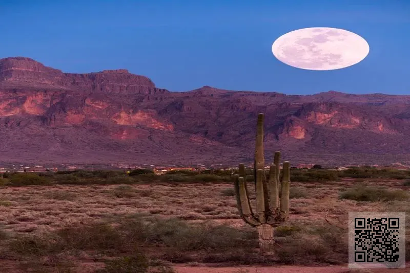 源鼎興塑膠電子有限公司