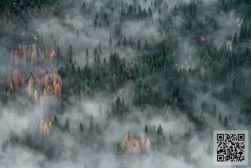 強龍投資有限公司