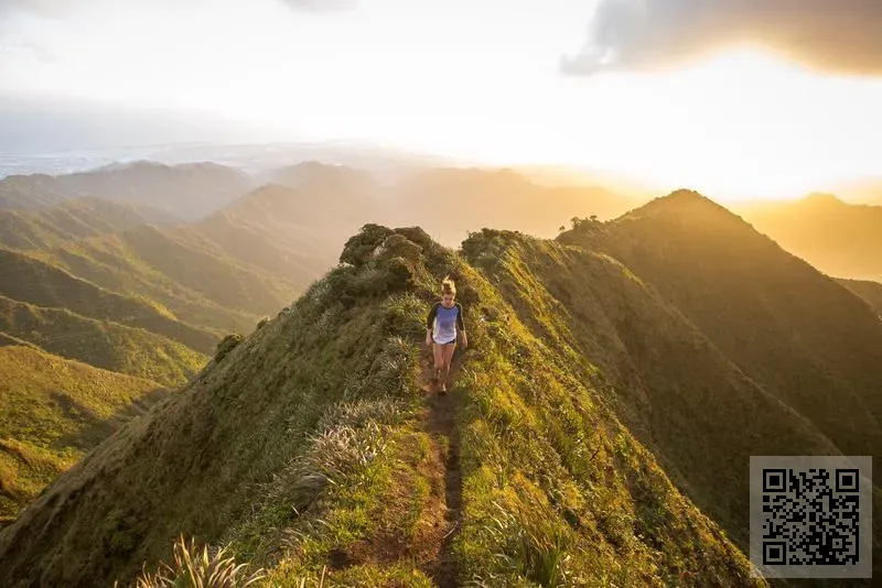 VERRAGE CO., LIMITED