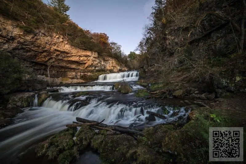 LOVE AND OBJECT LIMITED