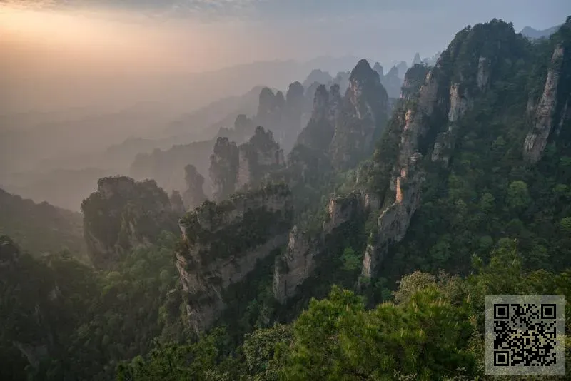 榮馨國際有限公司