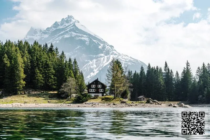 ALFA ASIA ADVISORY SERVICES LIMITED