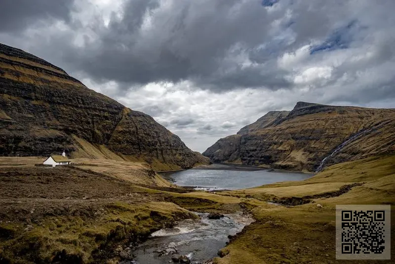 PARTY IN HAZE LIMITED