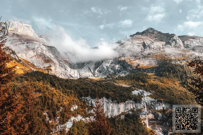 秋山國際有限公司