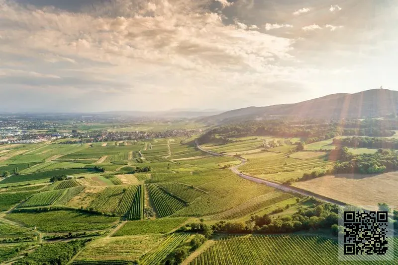 BHA ENTERPRISE LIMITED