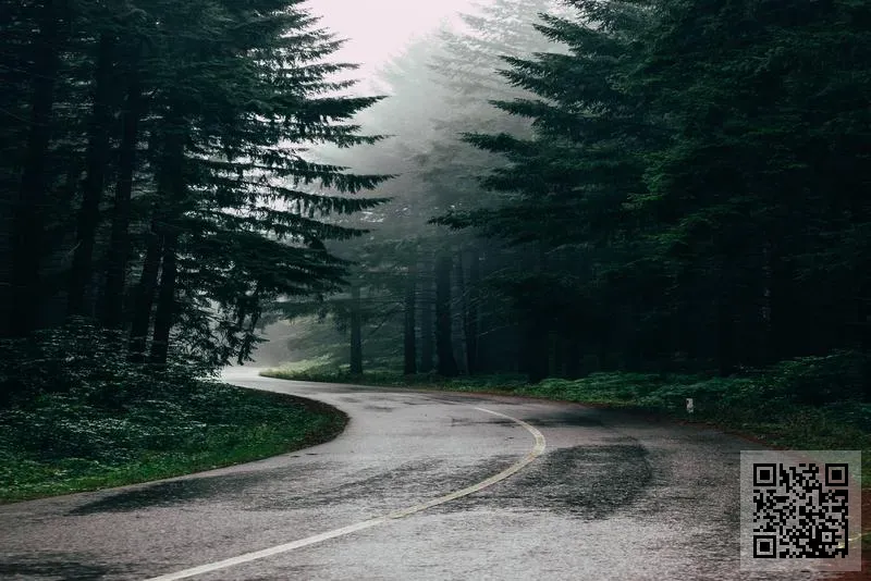 Viral Digital Studio Limited