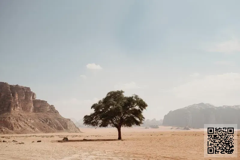 Maestro Enterprises Limited