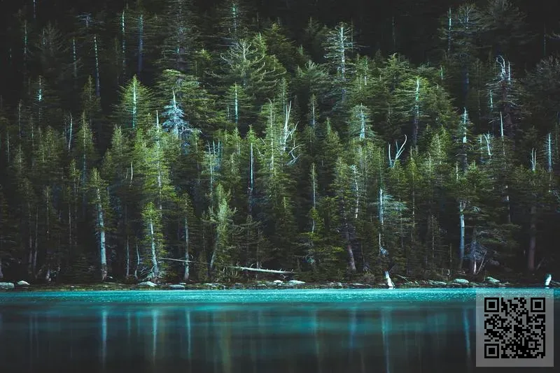 朗達國際(香港)有限公司