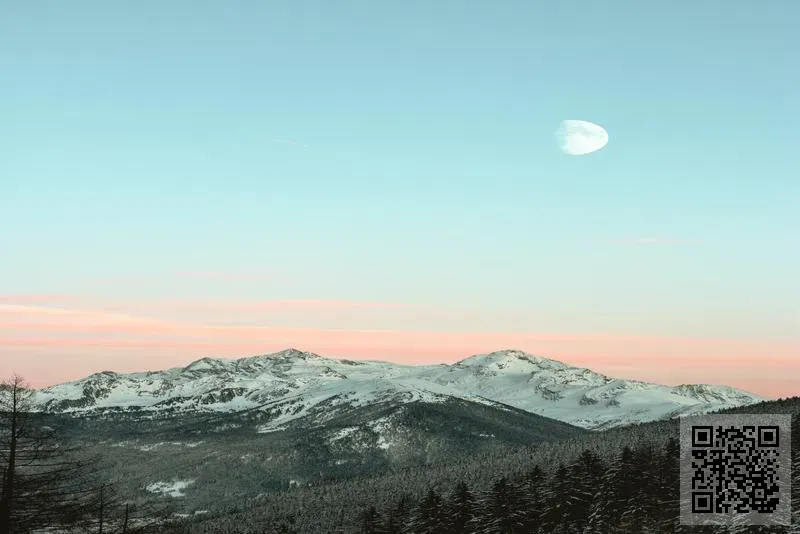 港華創貿易有限公司