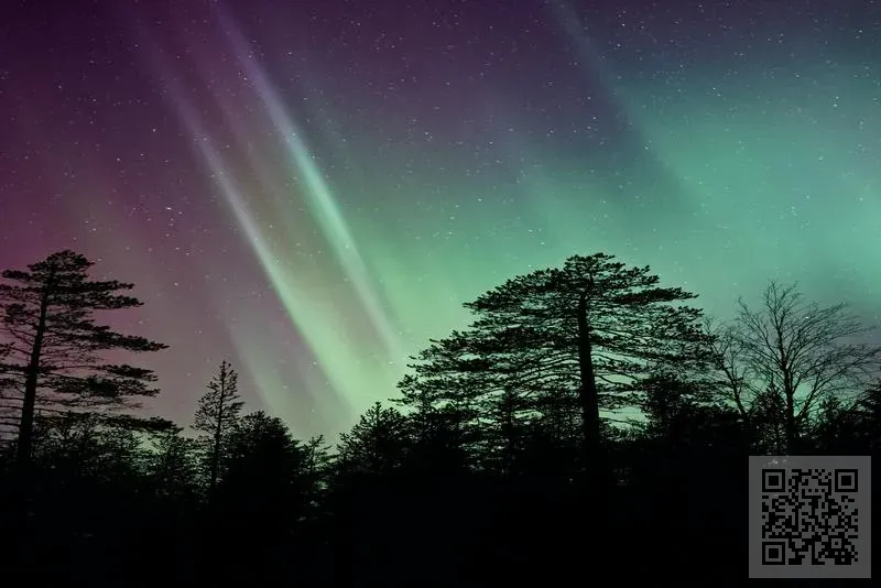 ELINKS HOLDING CO., LIMITED