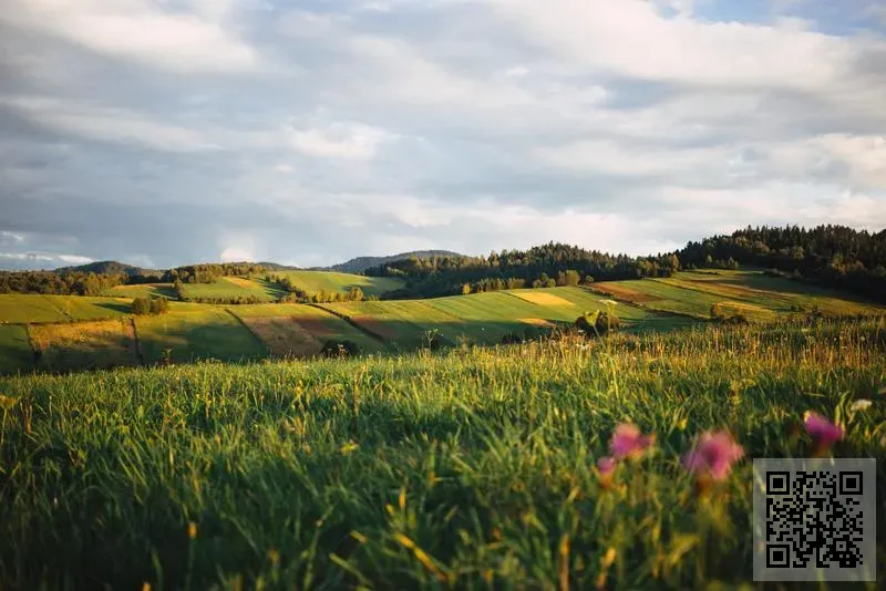 LUXI International Limited