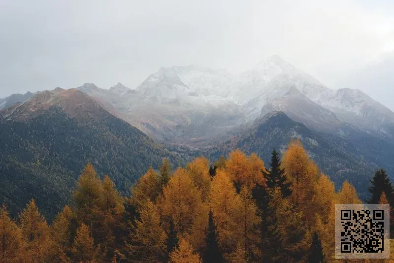 紅寶和通有限公司