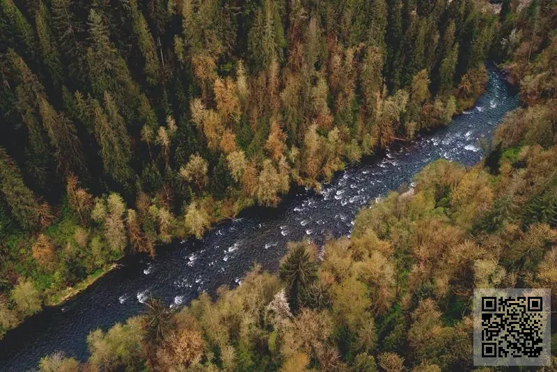 Hongkong Imega Limited