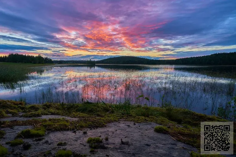 春旭進出口有限公司