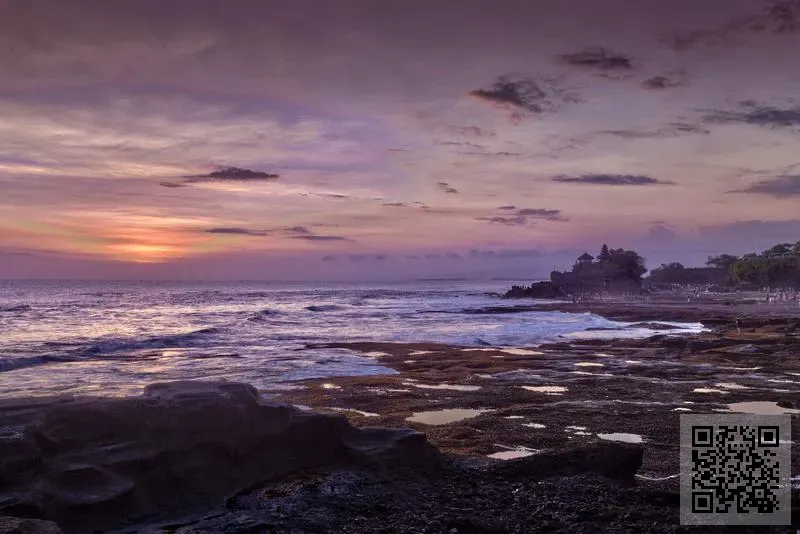 新地金融財務有限公司