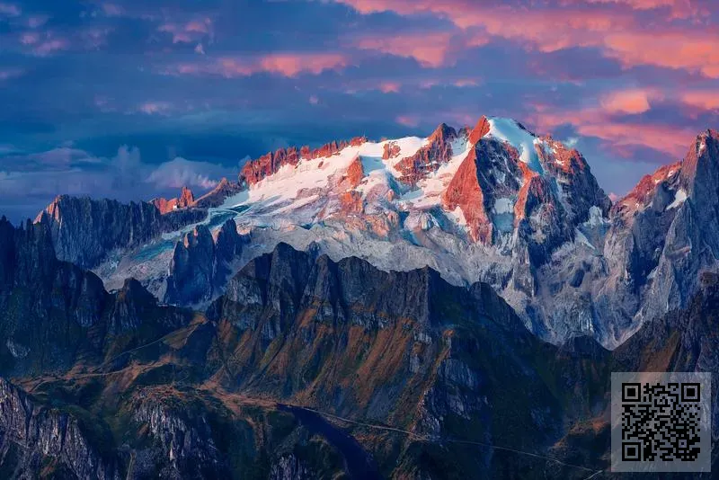 志峰貿易有限公司