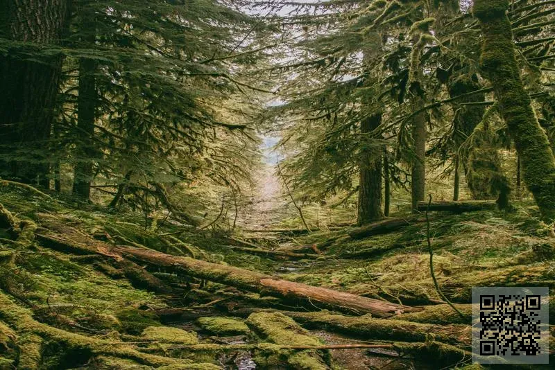 香港雙瑞國際集團有限公司