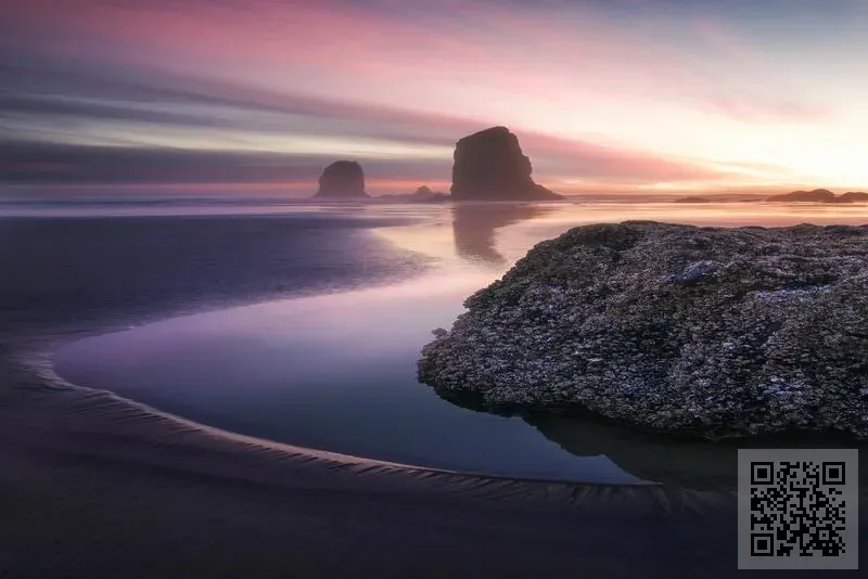 CAT ONE LIFE (HK) LIMITED