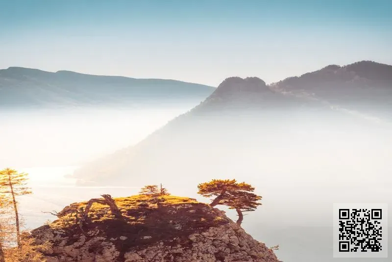 新世基科技服務(集團)有限公司