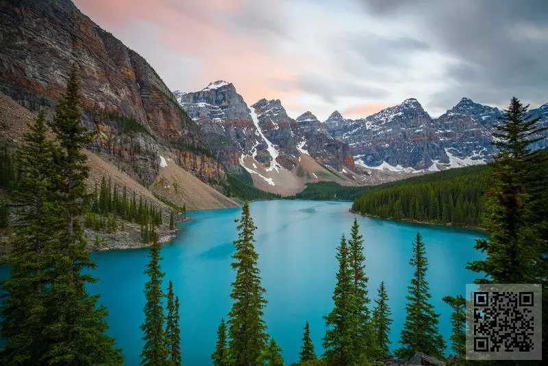 Hong Kong Prosper Service Limited