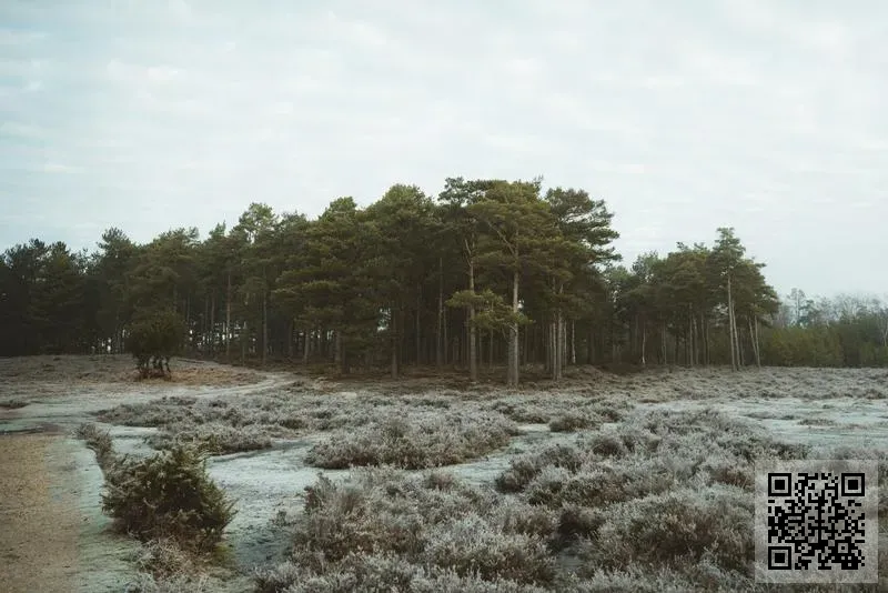 玄元堂健業集團有限公司