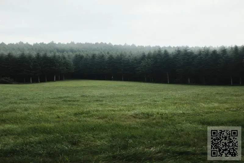 ELITE PHYSIOTHERAPY AND SPORTS PERFORMANCE CENTRE LIMITED