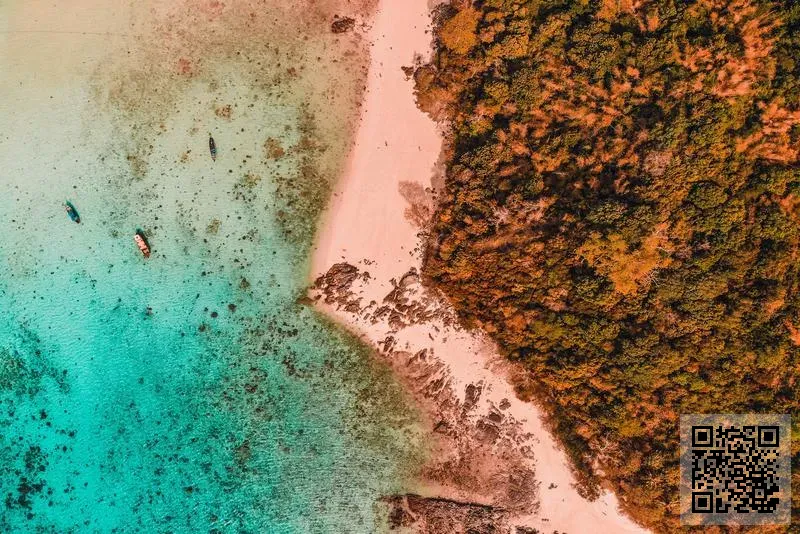 香港海鼎工程有限公司