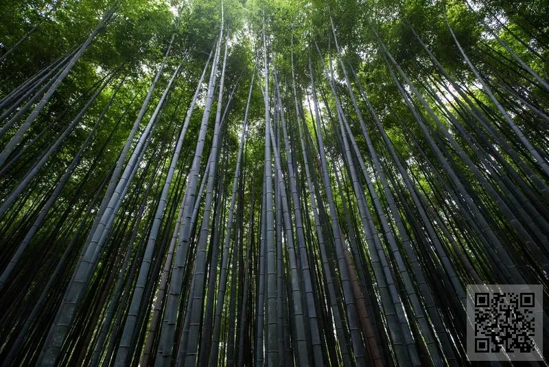 金品汽車模具有限公司