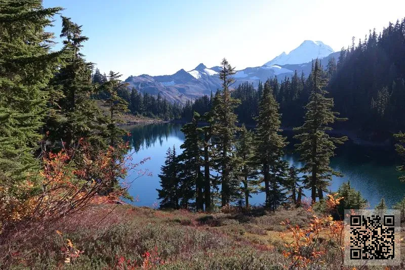 中馳(香港)實業有限公司