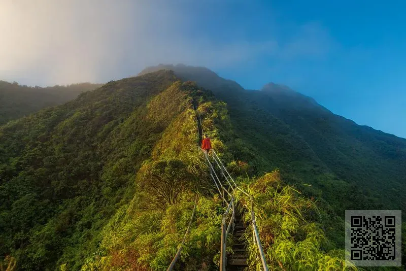 世禧偉業有限公司