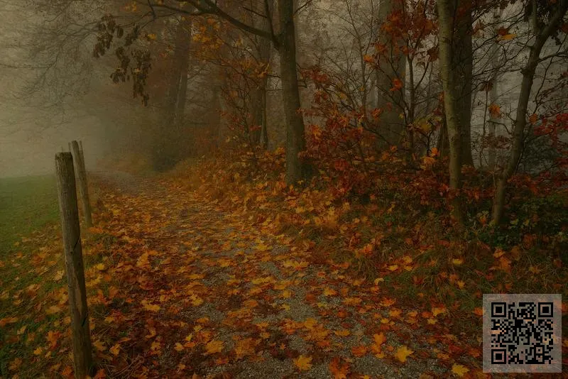 廣得利投資有限公司