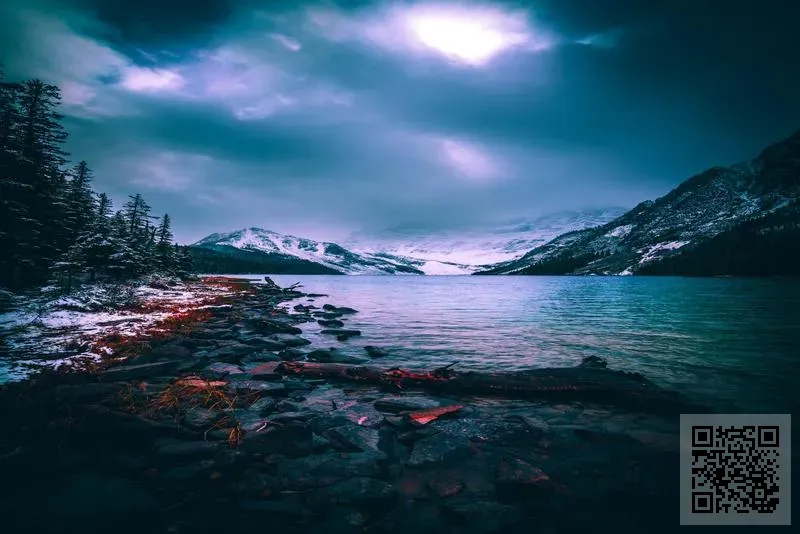 安鑫(香港)國際物流有限公司