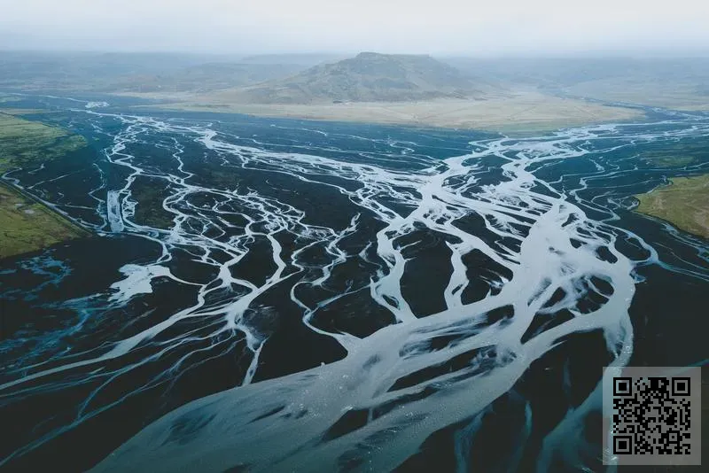 善德利國際貿易有限公司