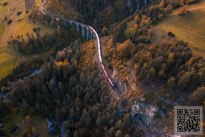 英國邁勒菲格控股有限公司