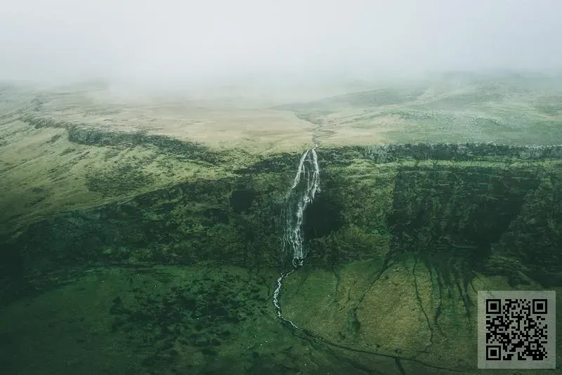 香港宇凰健康管理有限公司