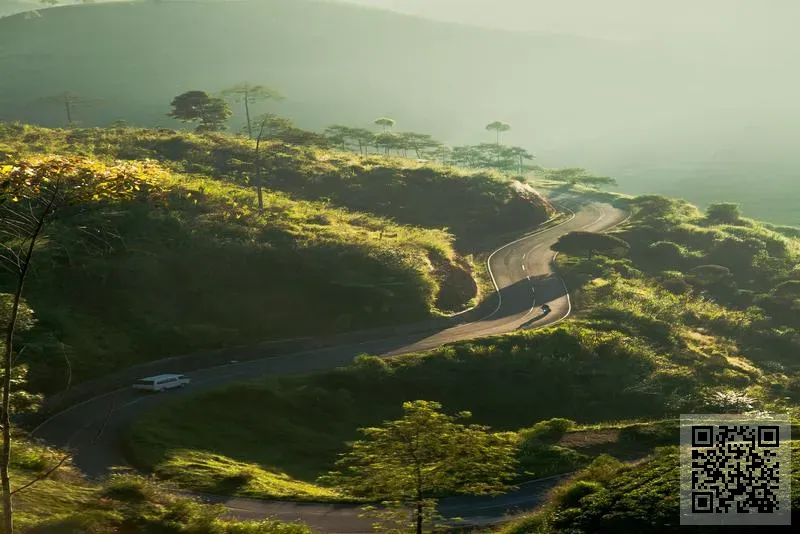 三生健康科技國際控股有限公司