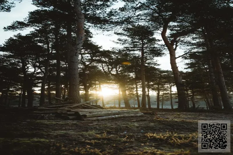 法蘭思夏朵酒業有限公司