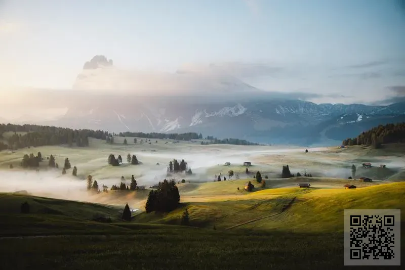 勝記輪呔有限公司