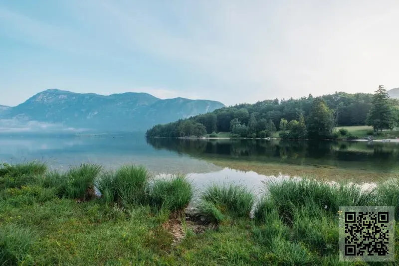 亮丹集團有限公司