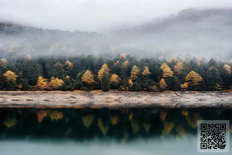 力盛科技股份有限公司