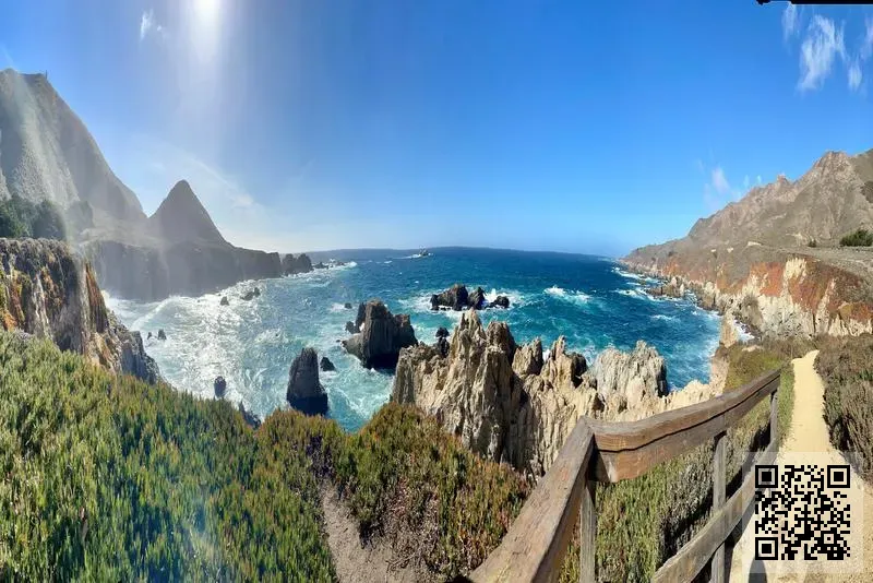 百禾(中國)有限公司