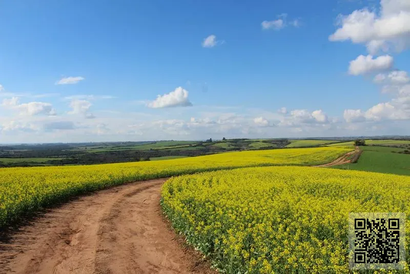 長博置業有限公司