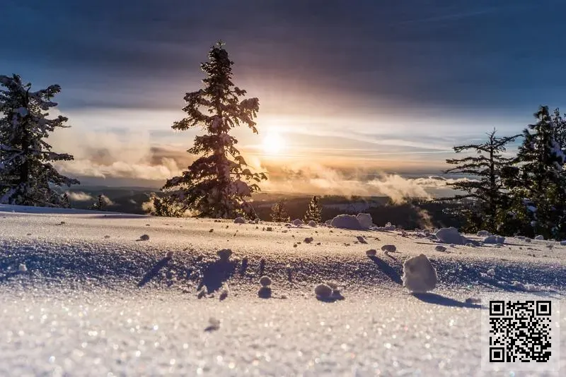 玖達國際有限公司